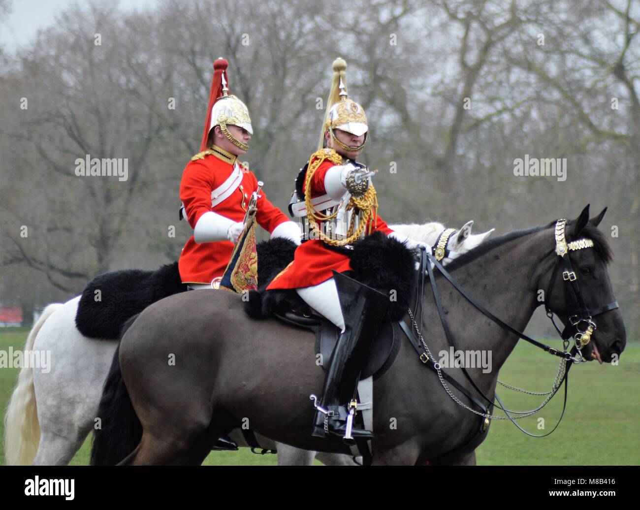 Große Benjamin Bathurst CBE Kommandierender Offizier der Haushalt Abteilung überprüft den ganzen Haushalt Abteilung vor dem Sommer zeremoniellen Pflichten Stockfoto
