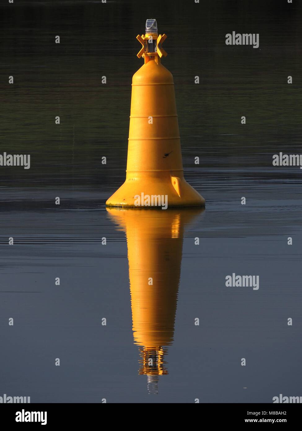 Eine gelbe Markierung Boje in den Gewässern am Fährhafen Kennacraig auf der Halbinsel Kintyre in Argyll & Bute wider. Stockfoto