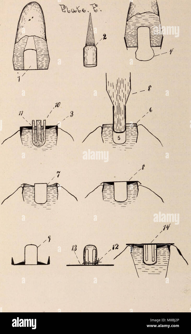 Zahnmedizinische überprüfen; für die Weiterentwicklung der Zahnheilkunde gewidmet. (1901) (14759150116) Stockfoto