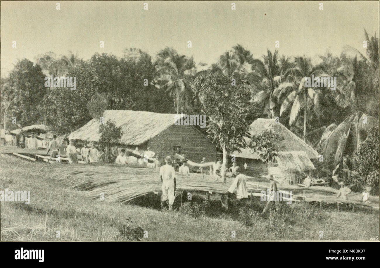 Der Tropenpflanzer; Zeitschrift fr tropische Landwirtschaft (20676328950) Stockfoto