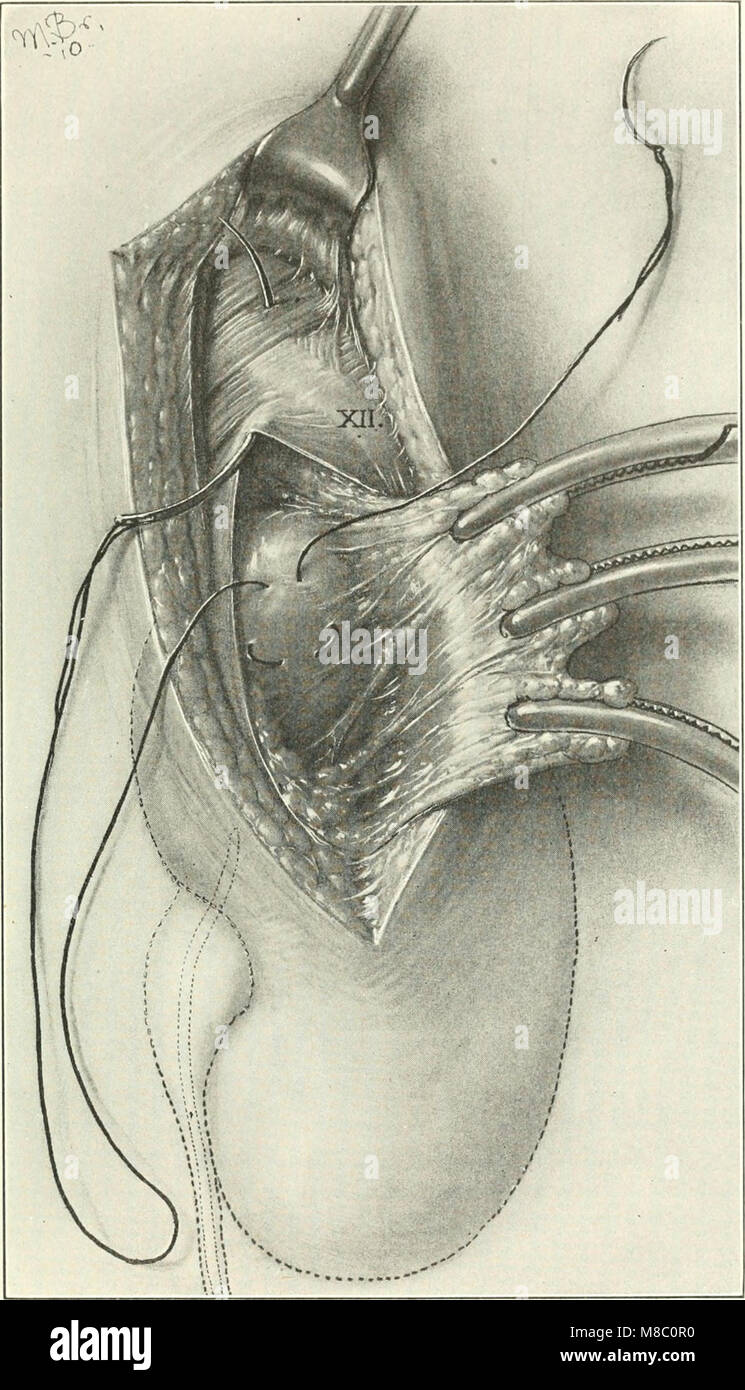 Cum bilan mushuk yalab tomosha qiling Yigit eshagini yoyadi