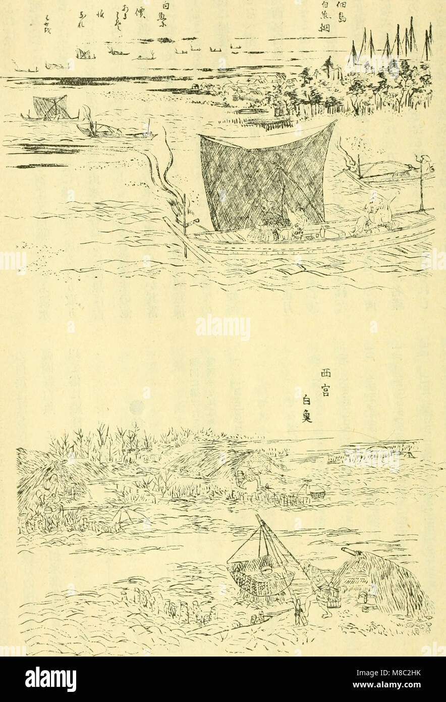 Dobutsugaku zasshi (1889) (20991208441) Stockfoto