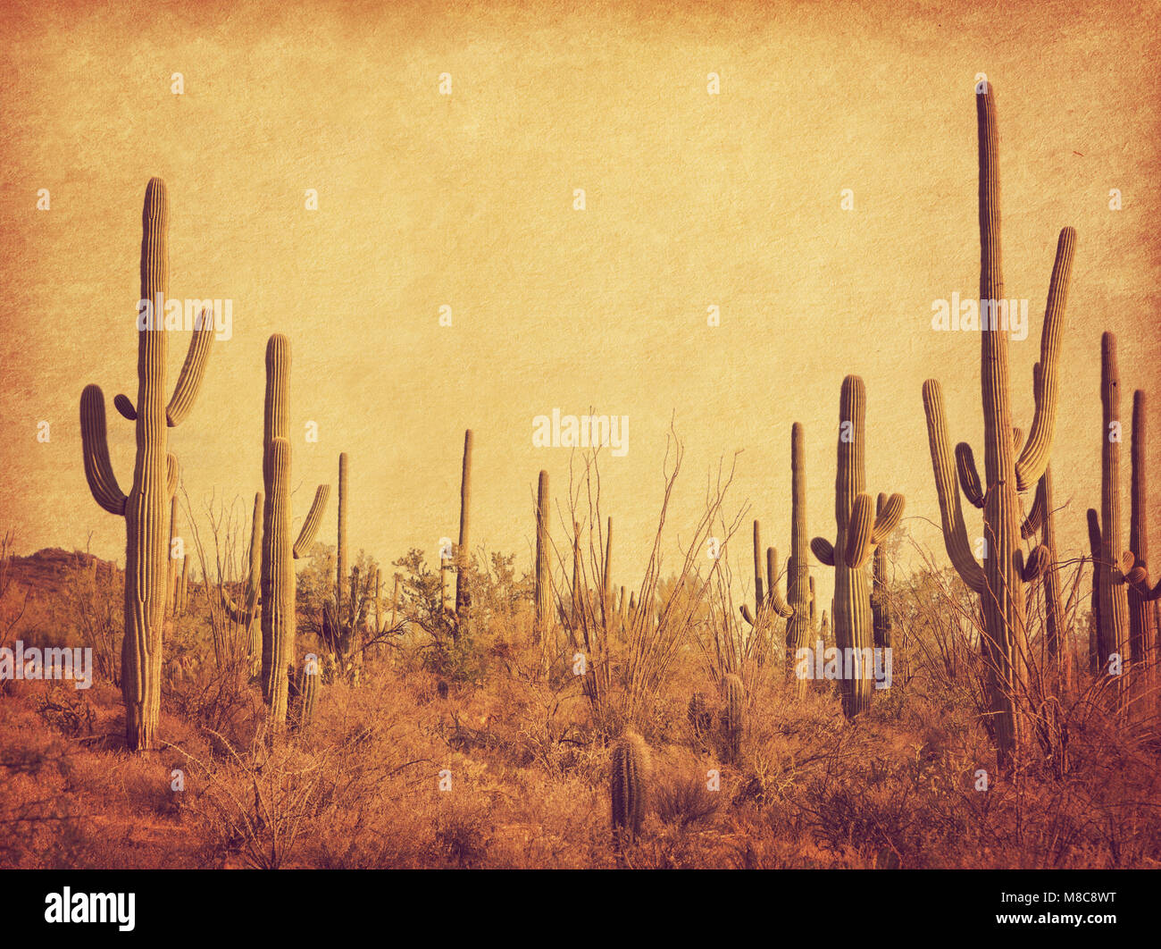 Landschaft der Wüste mit Saguaro Kakteen. Foto im Retro-Stil. Hinzugefügt Papier Textur. Getonten Bild Stockfoto