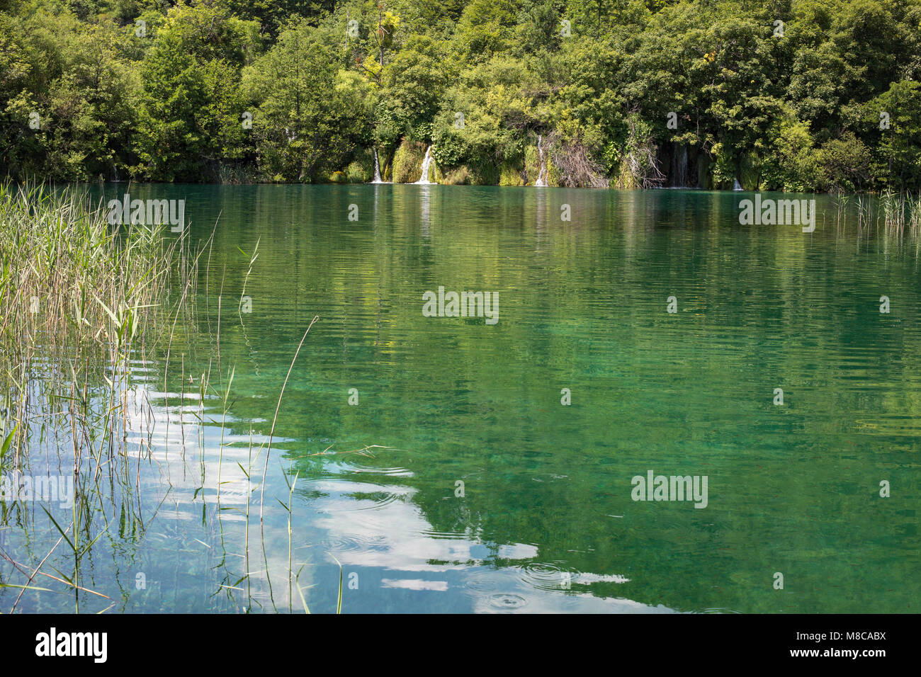 Plitvicer Seen an Natioanl Park Kroatien. Das Wasser ist ein intensives Blau Farbe. Stockfoto
