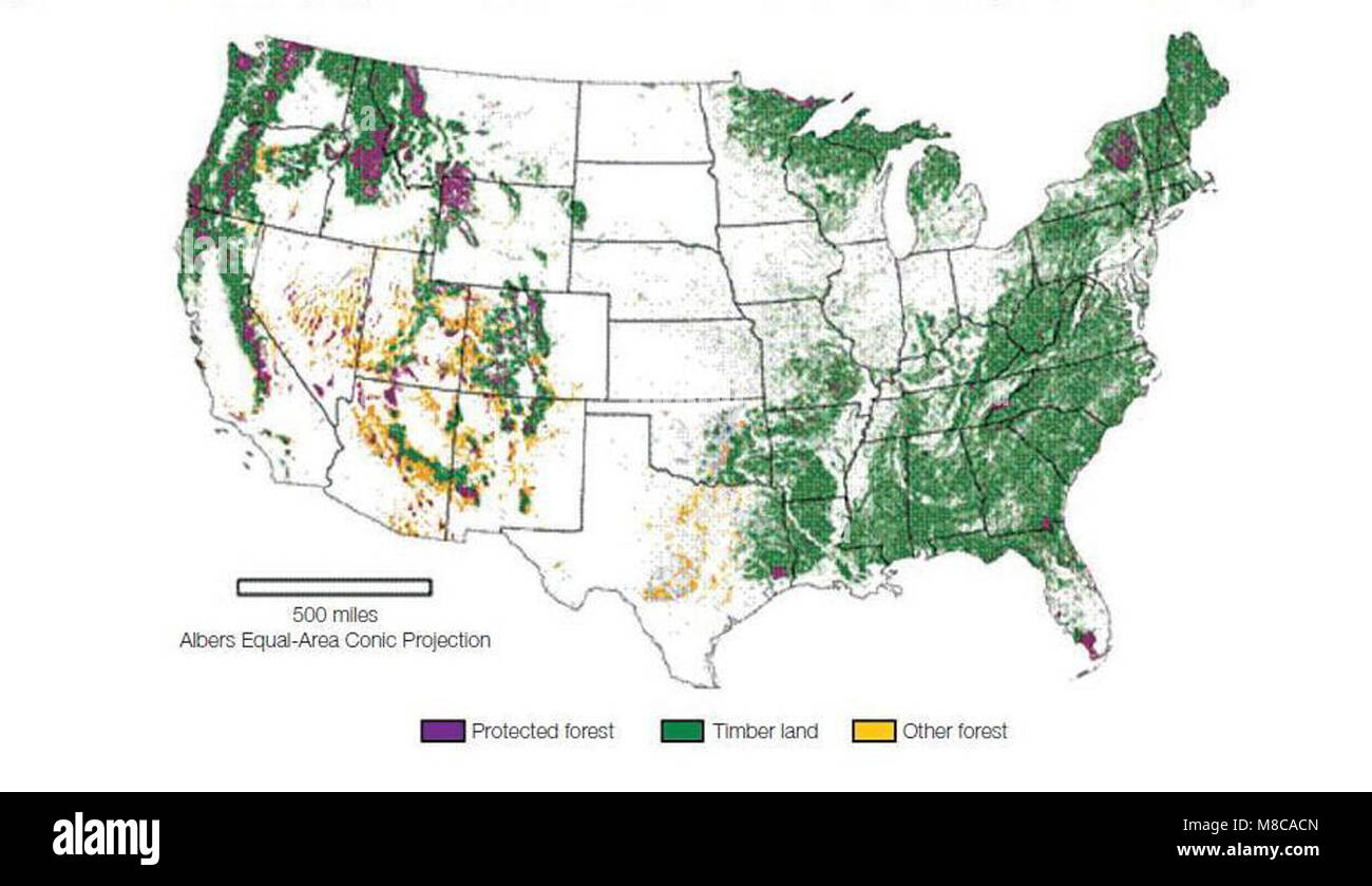 In den USA ist bemerkenswert stabil in den letzten 50 Jahren konstant, und die Menge der Wald wachsen auf diese Wälder hat sich seit 1990 mehr als 20 Prozent erhöht. Karte von Forest Service Forschung und Entwicklung entwickelt. Stockfoto