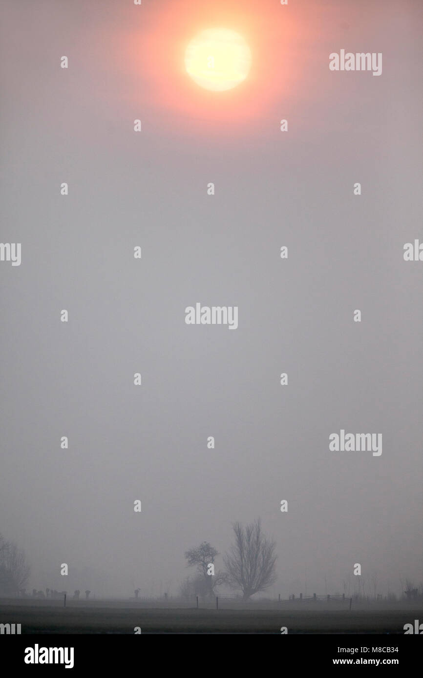 Zonsopgang Lopikerwaard; Sonnenuntergang Lopikerwaard, Niederlande Stockfoto