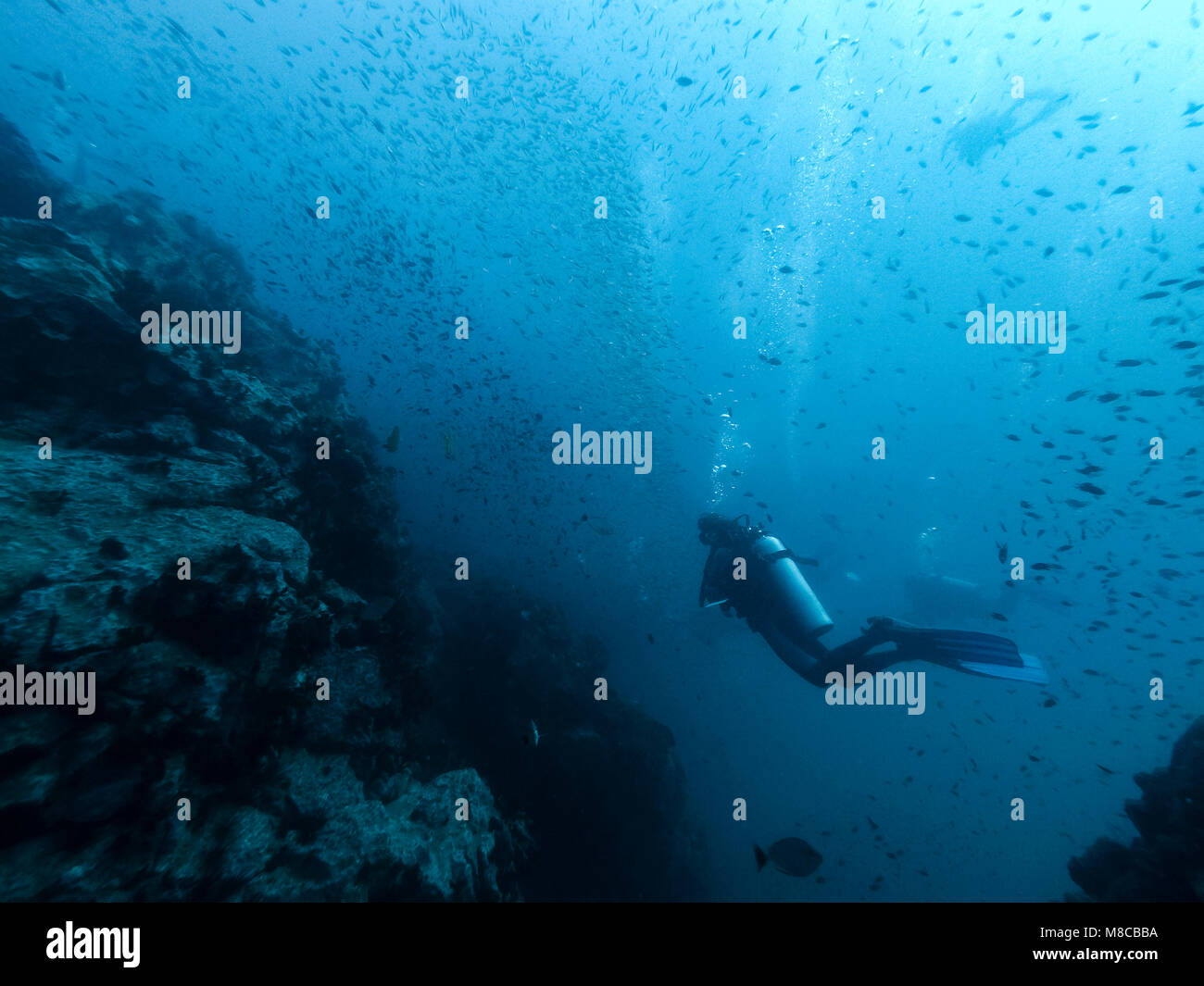 Taucher im Riff, Ko Lanta Island thailand Stockfoto