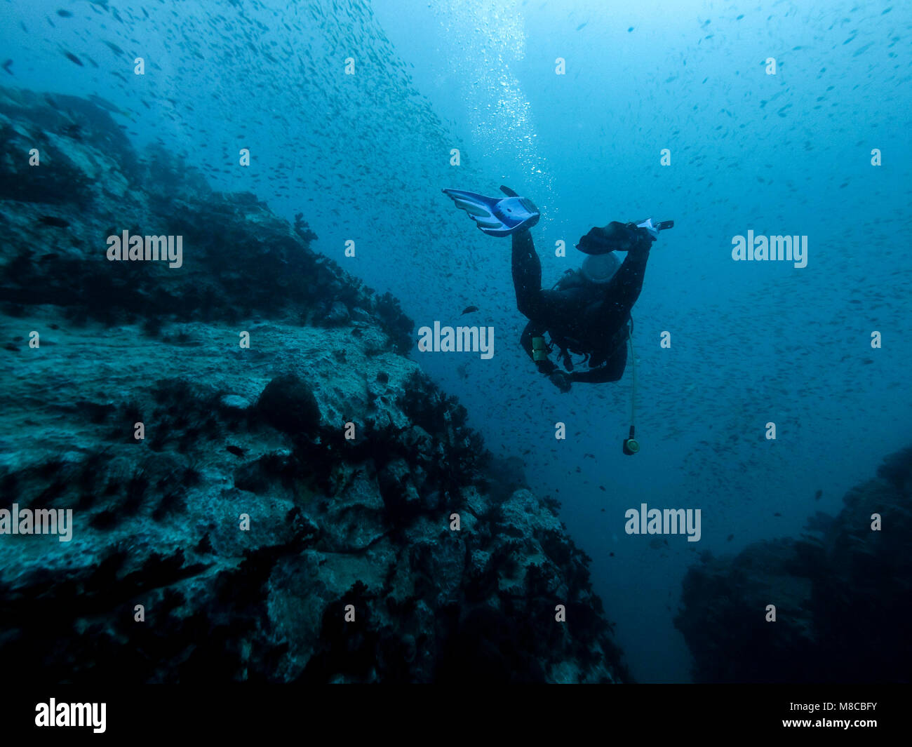 Taucher im Riff, Ko Lanta Island thailand Stockfoto