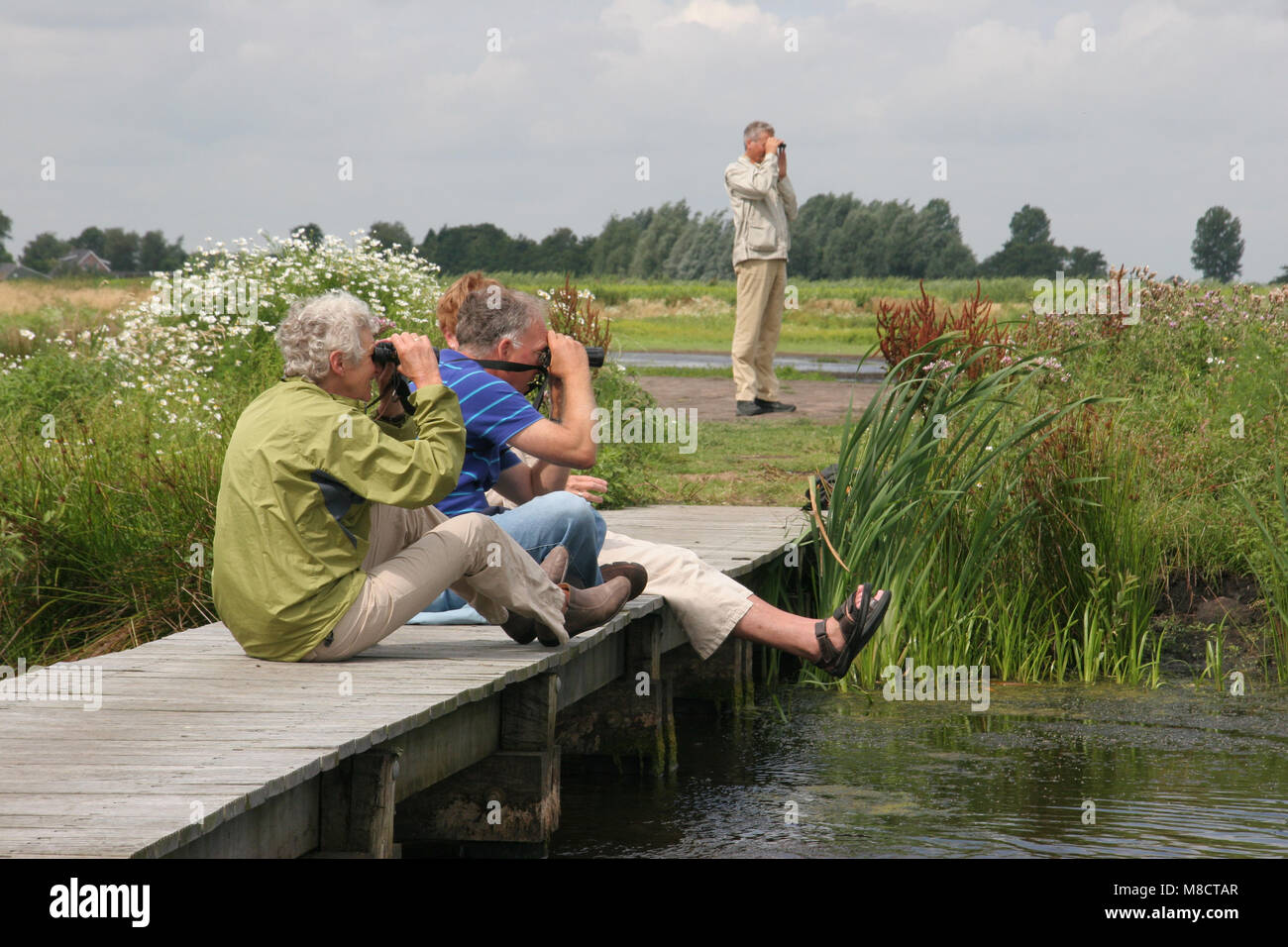 Vogelaars kijken naar Porseleinhoen In de Groene Jonker, Vogelbeobachter, Tüpfelsumpfhuhn im Niederländischen finden Stockfoto