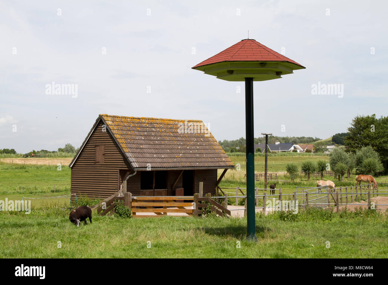 Nest Kast voor de Huiszwaluw, Nistkasten für das Haus Martin Stockfoto