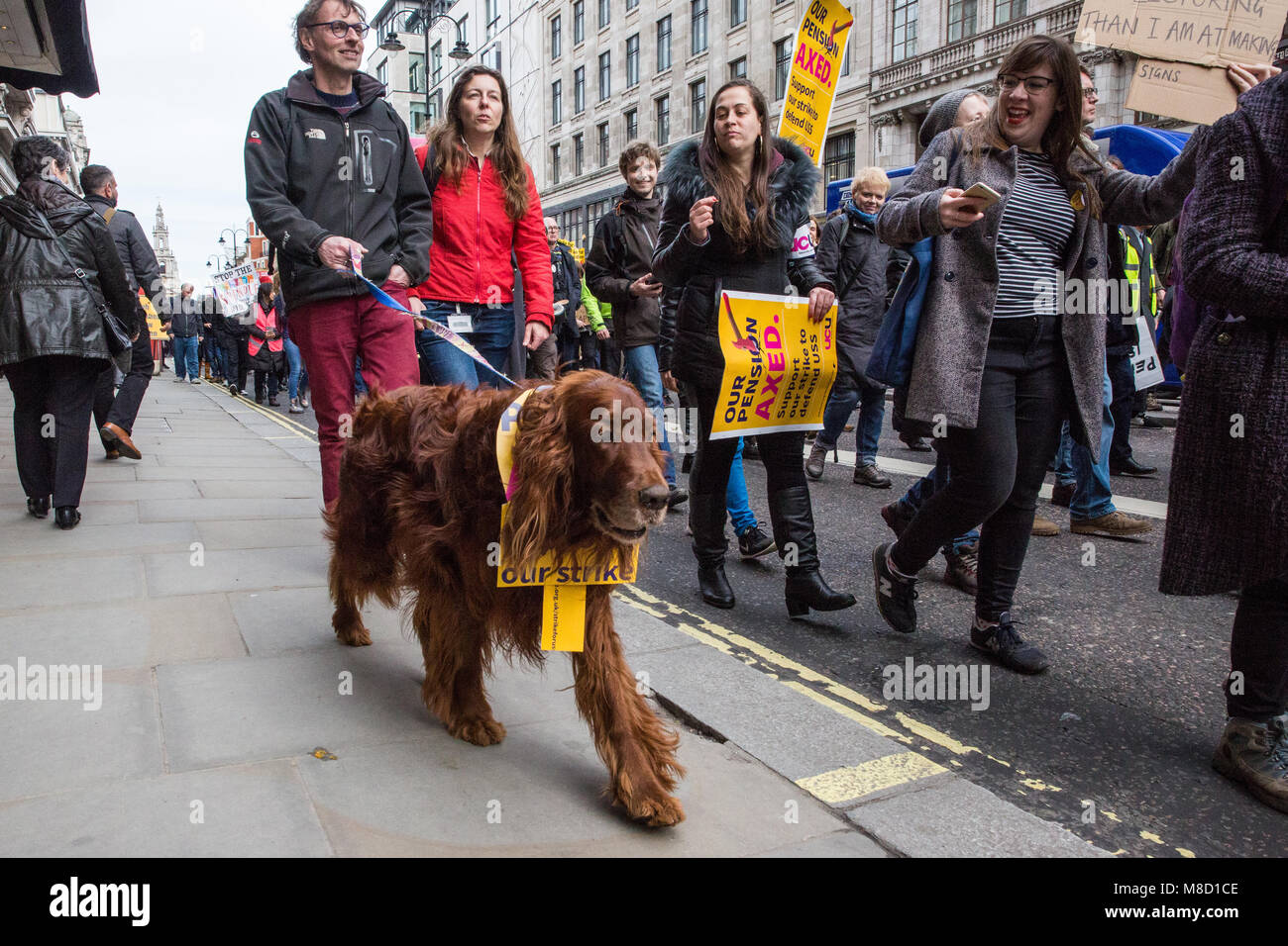 London, Großbritannien. 14. März, 2018. Ein Hund verbindet UCU Gewerkschaft Mitglieder, Unterstützer und Studenten, die in der März für Pensionen und Zahlen. Stockfoto