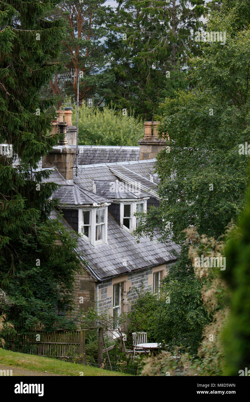 Altes Landhaus im Wald Stockfoto
