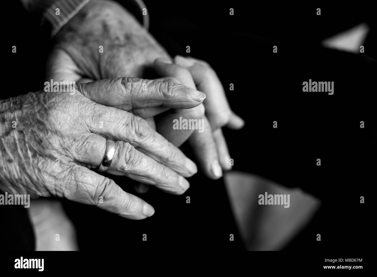 Nahaufnahme eines alten kaukasische Frau die Hand eines jungen kaukasischen Mann, mit den Fingern mit Zuneigung, in Schwarz und Weiß Stockfoto