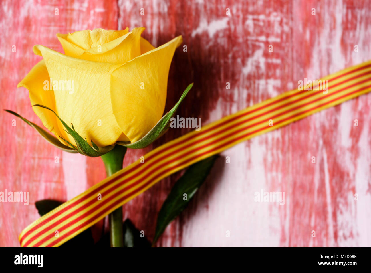 Eine gelbe Rose und eine katalanische Flagge mit rustikalen Holzmöbeln Oberfläche für Sant Jordi, die Katalanische Namen für Saint Georges Tag, Wenn es ist Tradition, Rosen zu geben Stockfoto