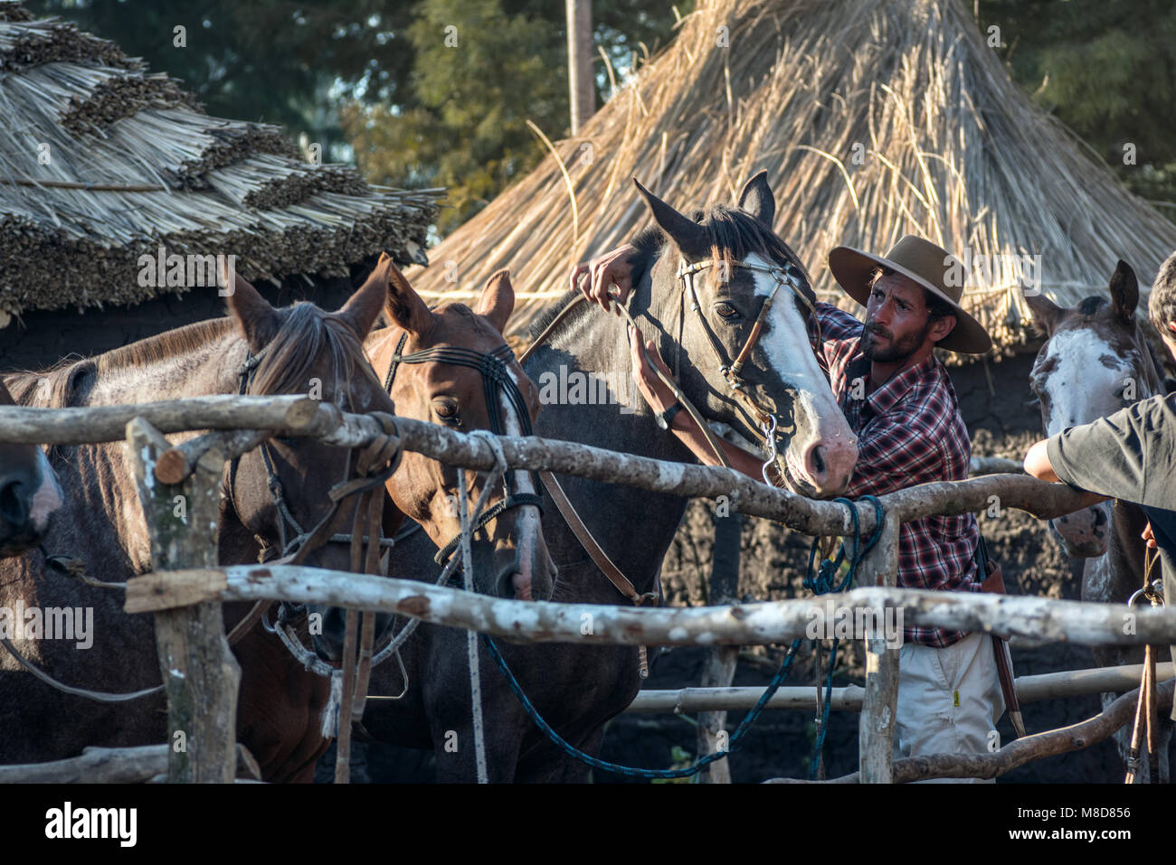 Tacuarembo, Uruguay - 9. März 2018: Gaucho kümmert sich um sein Pferd in der Campo. Gaucho ist ein Bewohner des südamerikanischen Pampas Stockfoto