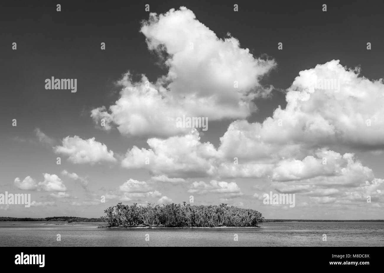 Ein Blick auf die Zehn Tausend Inseln, in den Everglades National Park, Florida. Die Inseln sind meist von Mangroven bedeckt. Stockfoto