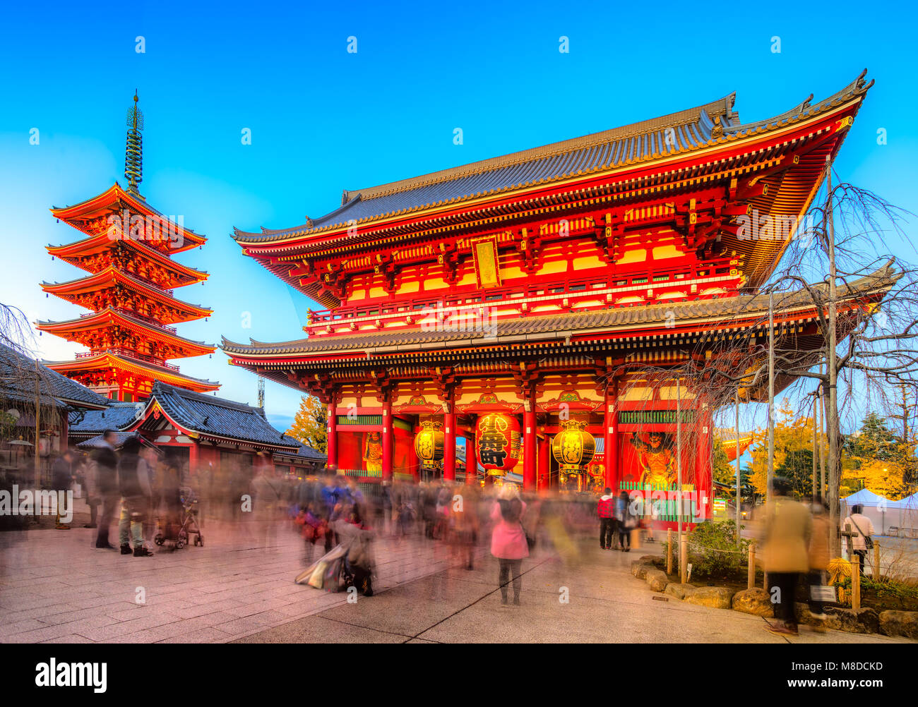 Nachtansicht des Sensoji-Ji Tempel in Asakusa, Tokio, Japan. Stockfoto