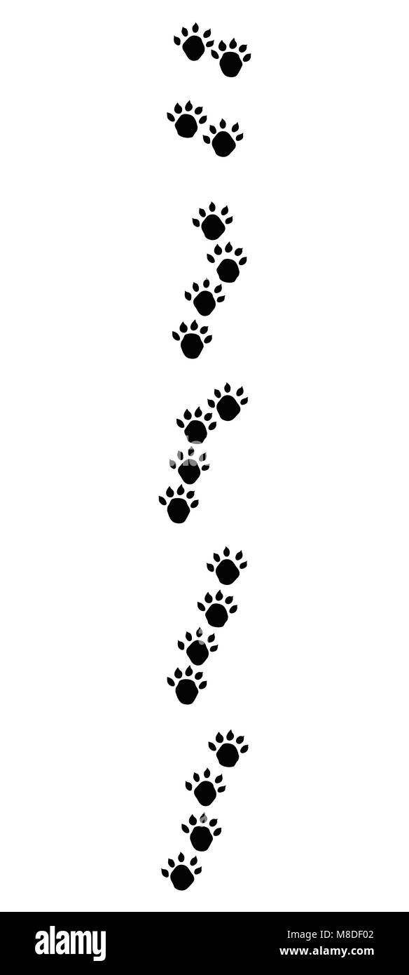Otter footprints mit typischen Schrägen gesäumt Titel - schwarze Symbol Abbildung auf weißen Hintergrund. Stockfoto
