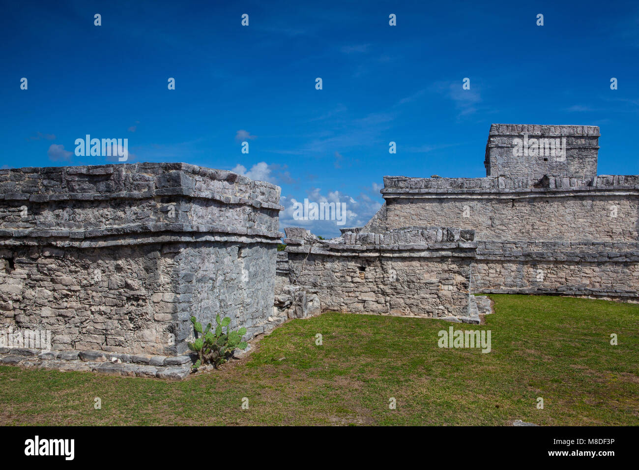 Majestätische Ruinen in Tulum. Tulum ist ein Ferienort auf Mexicos karibischen Küste. Aus dem 13. Jahrhundert, ummauerten Maya archäologische Stätte Tulum National Park o Stockfoto