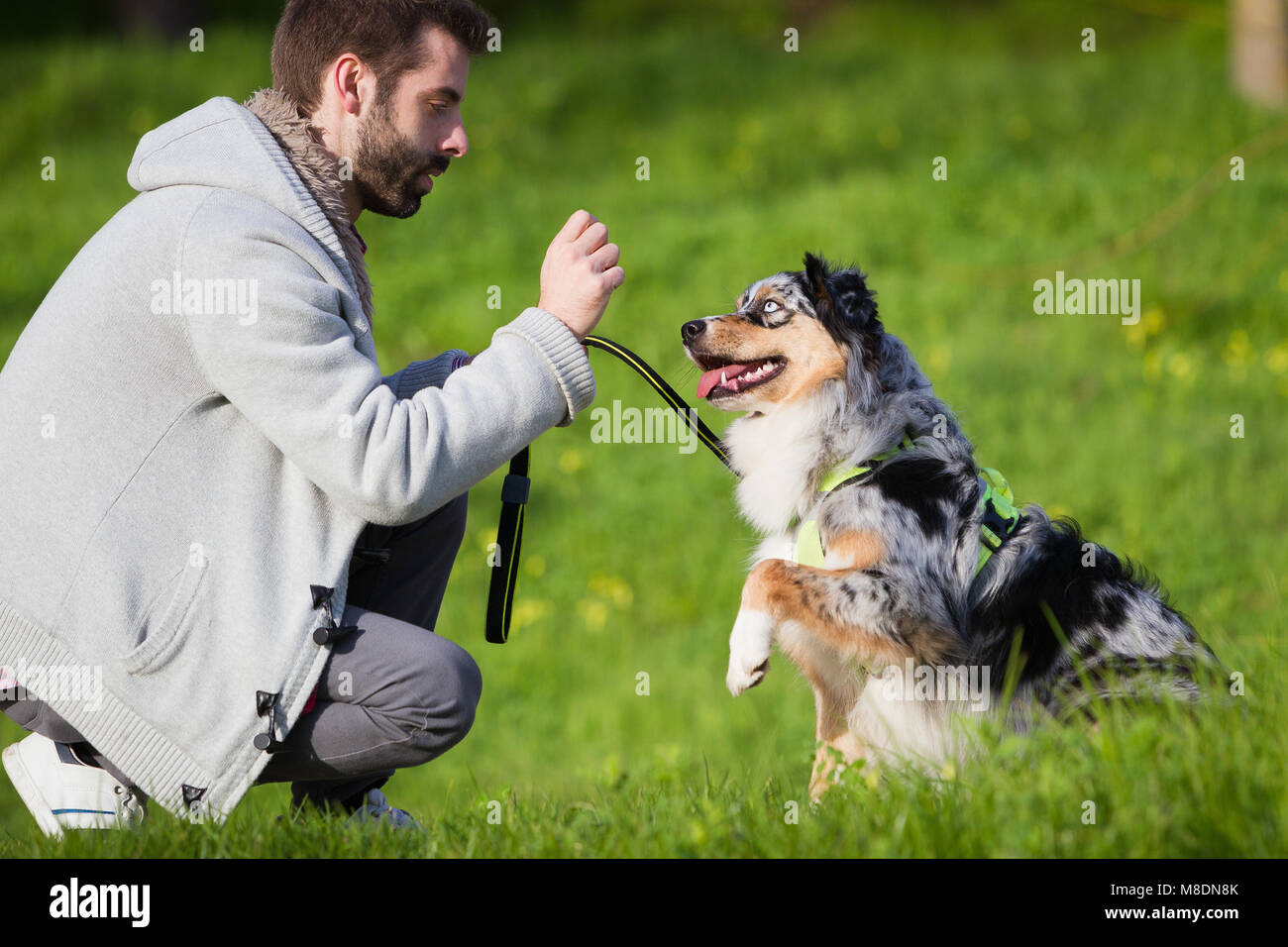 Mann Ausbildung Hund im Park zu sitzen Stockfoto