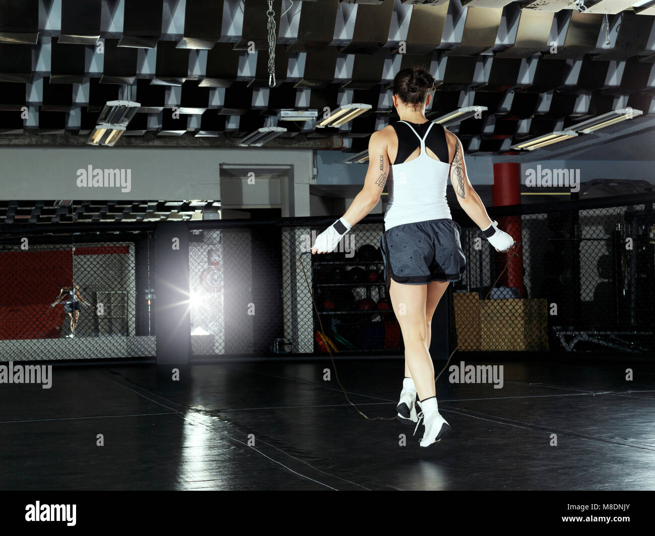 Boxer trainieren im Fitness-Studio Stockfoto