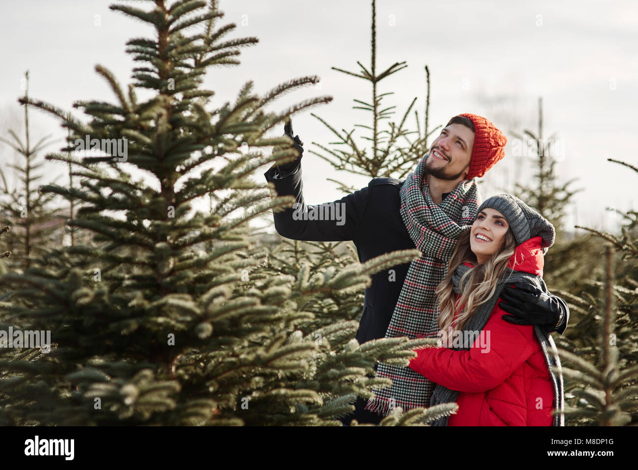 Junges Paar sie einen Weihnachtsbaum aus Wald Stockfoto