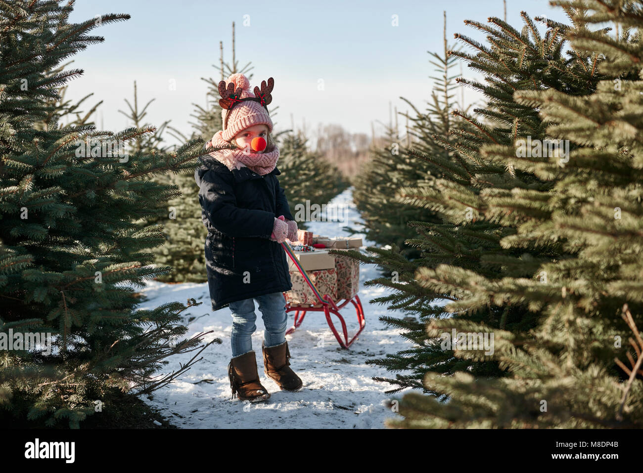 Mädchen in der Weihnachtsbaum Wald ziehen präsentiert sich auf der Rodelbahn, Porträt Stockfoto