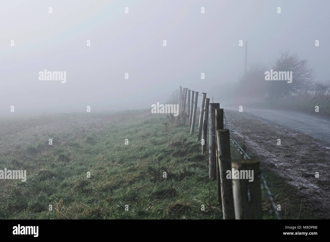 Zaun entlang der Straße in ländlicher Umgebung, mit Nebel, Houghton-le-Feder, Sunderland, Großbritannien Stockfoto