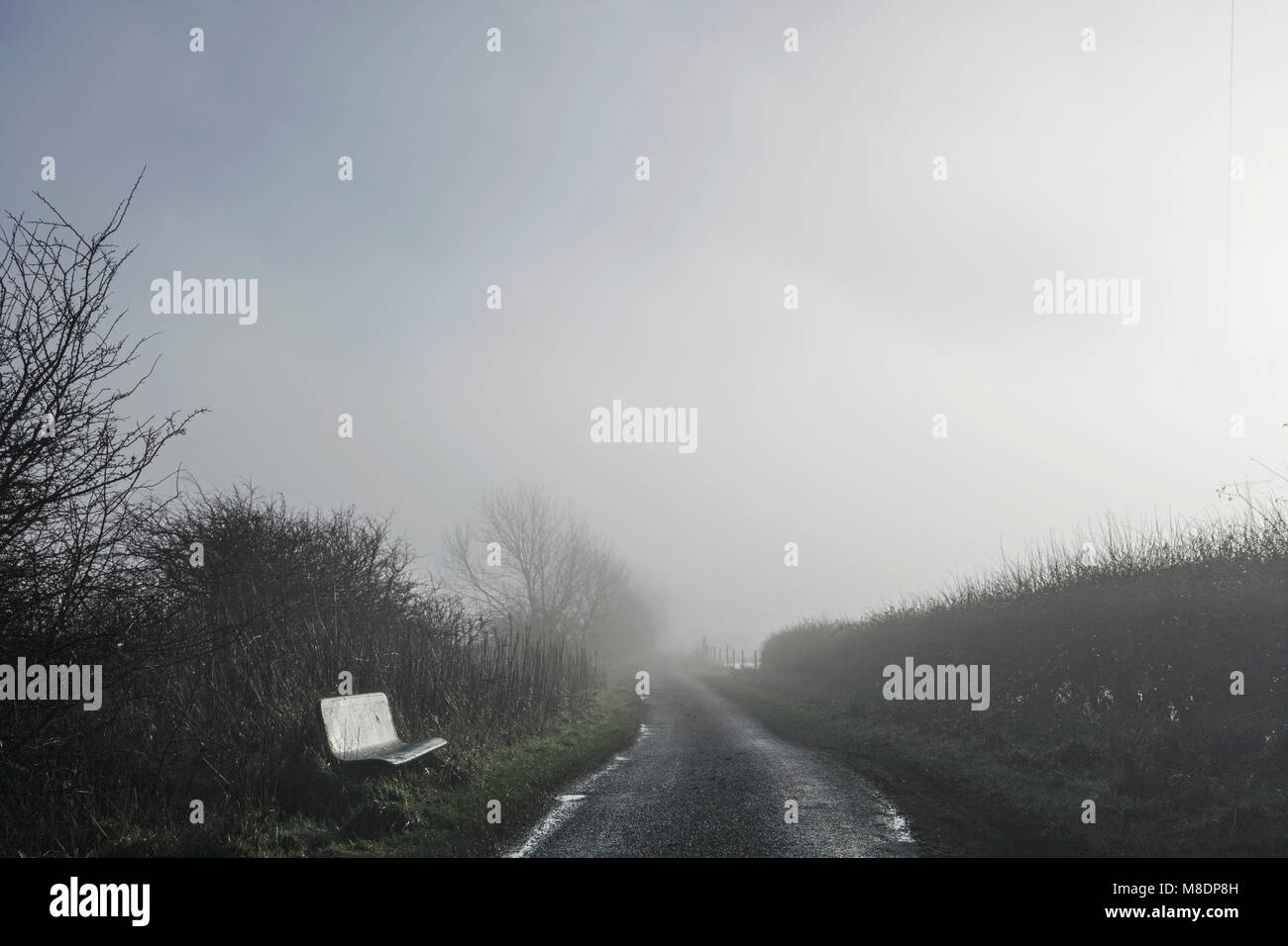 Sitzbank neben Country Road, Houghton-le-Feder, Sunderland, Großbritannien Stockfoto