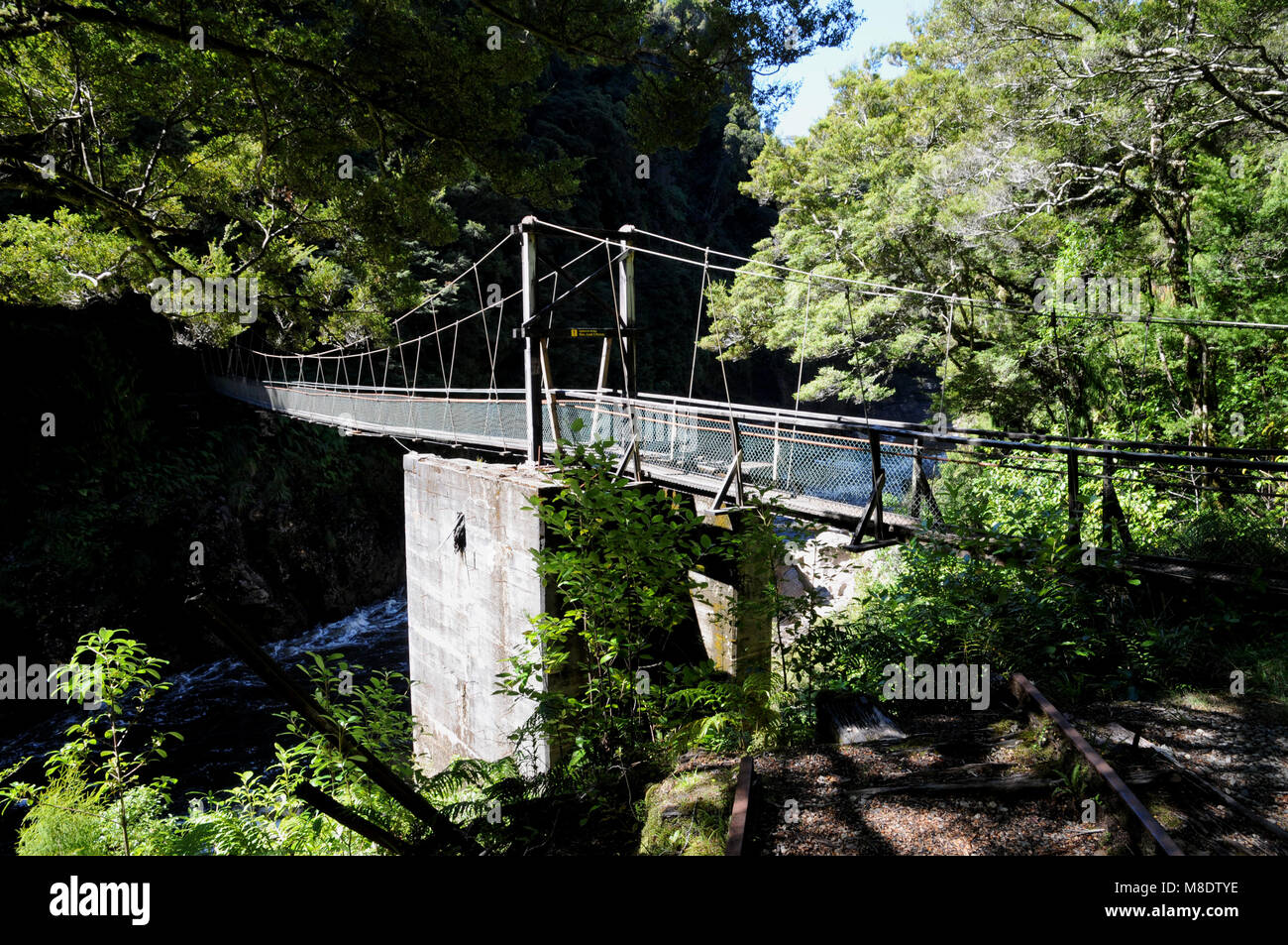 Die Ngakawau Suspension Bridge entlang der wunderschönen charmanten Creek Gehweg, die Brücke ist für bis zu 5 Personen. Stockfoto