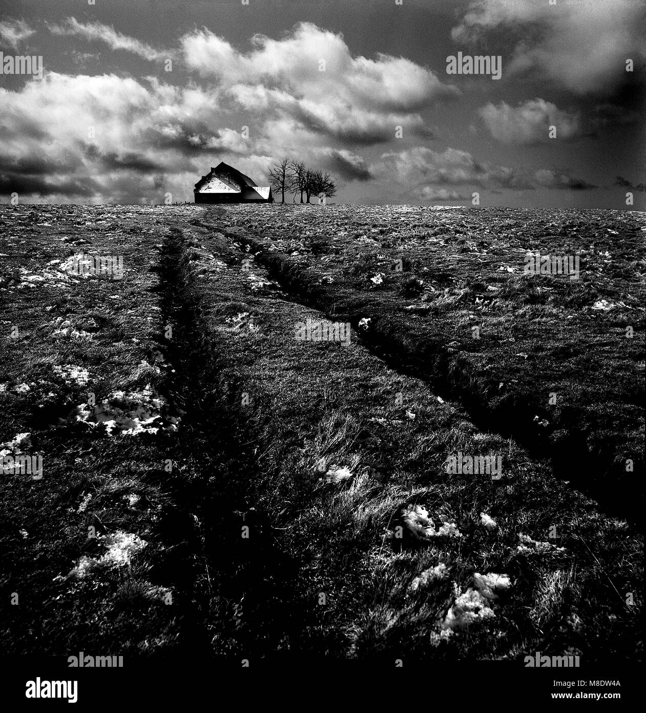 Bauernhof und gepflügten Feldes in der Massif Cezallier, Puy de Dome. Der Auvergne. Frankreich. Stockfoto
