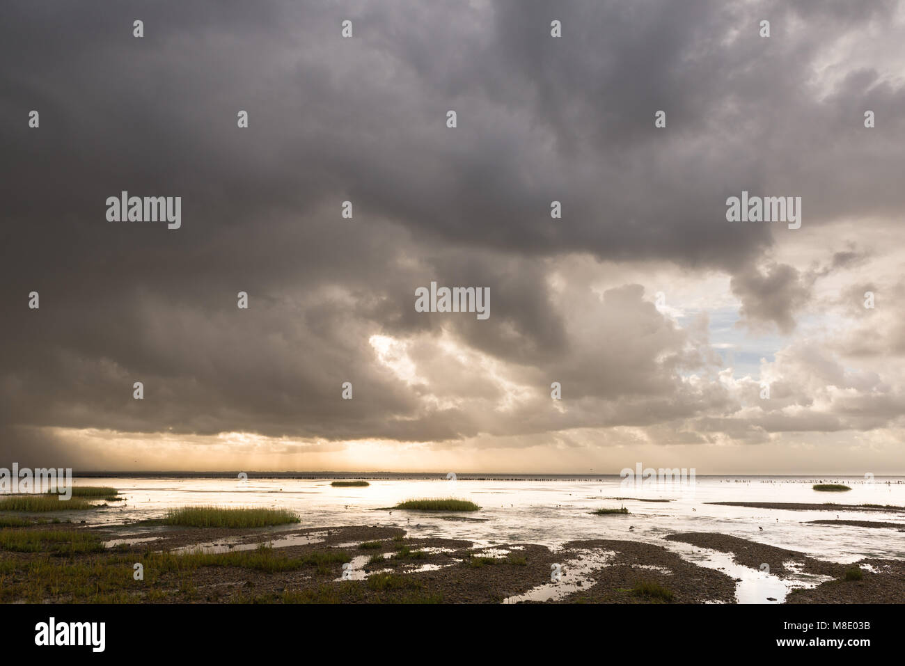 Dunkle Wolken über der Nordsee Insel Mandø, UNESCO Weltnaturerbe, Ribe, Jütland, Dänemark Stockfoto