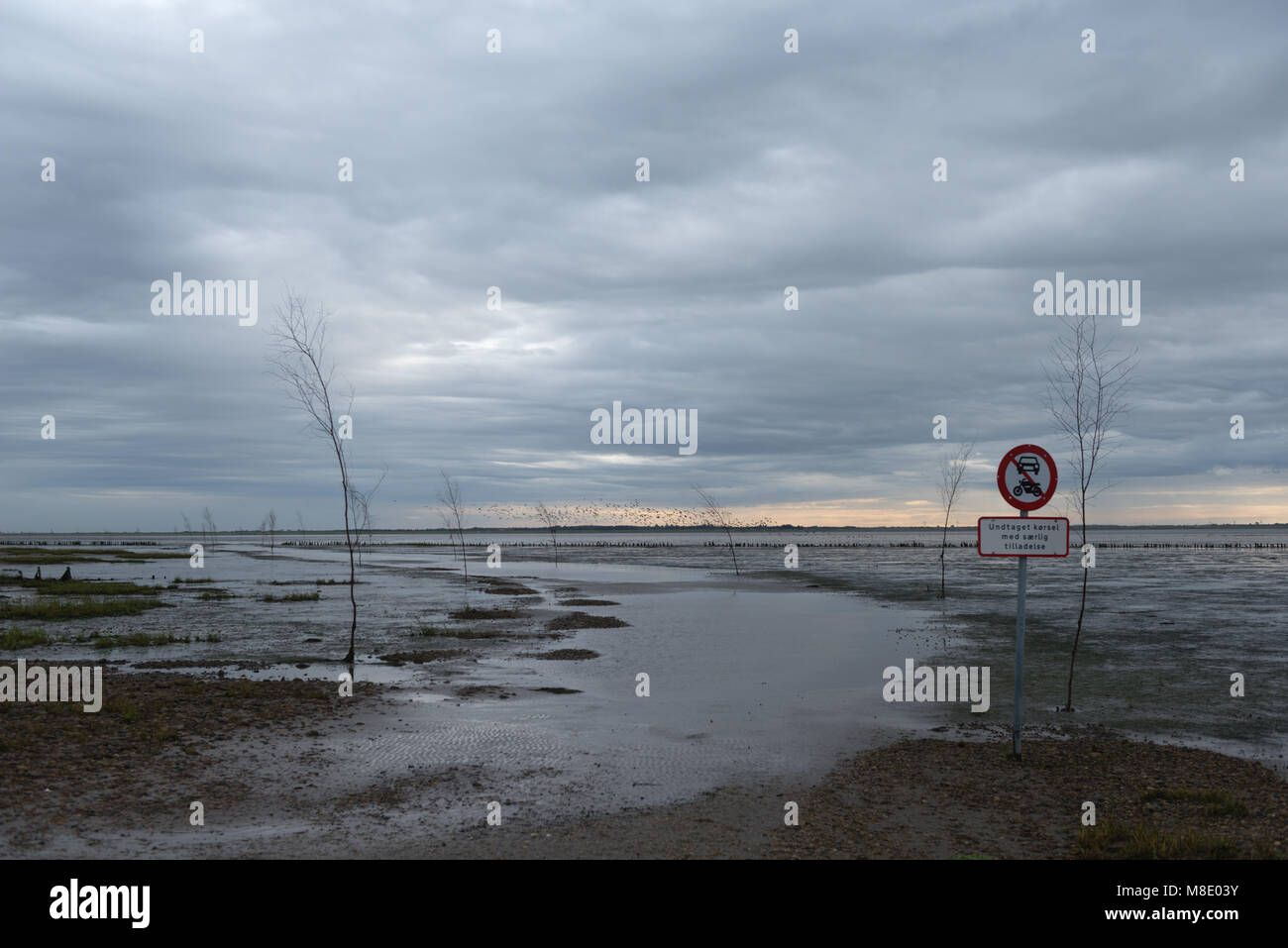 Verkehrszeichen Warnung Autos von den Gefahren des Fahrens auf den Meeresboden, Nordsee Insel Mandø, UNESCO Weltnaturerbe, Ribe, Jütland, Dänemark Stockfoto