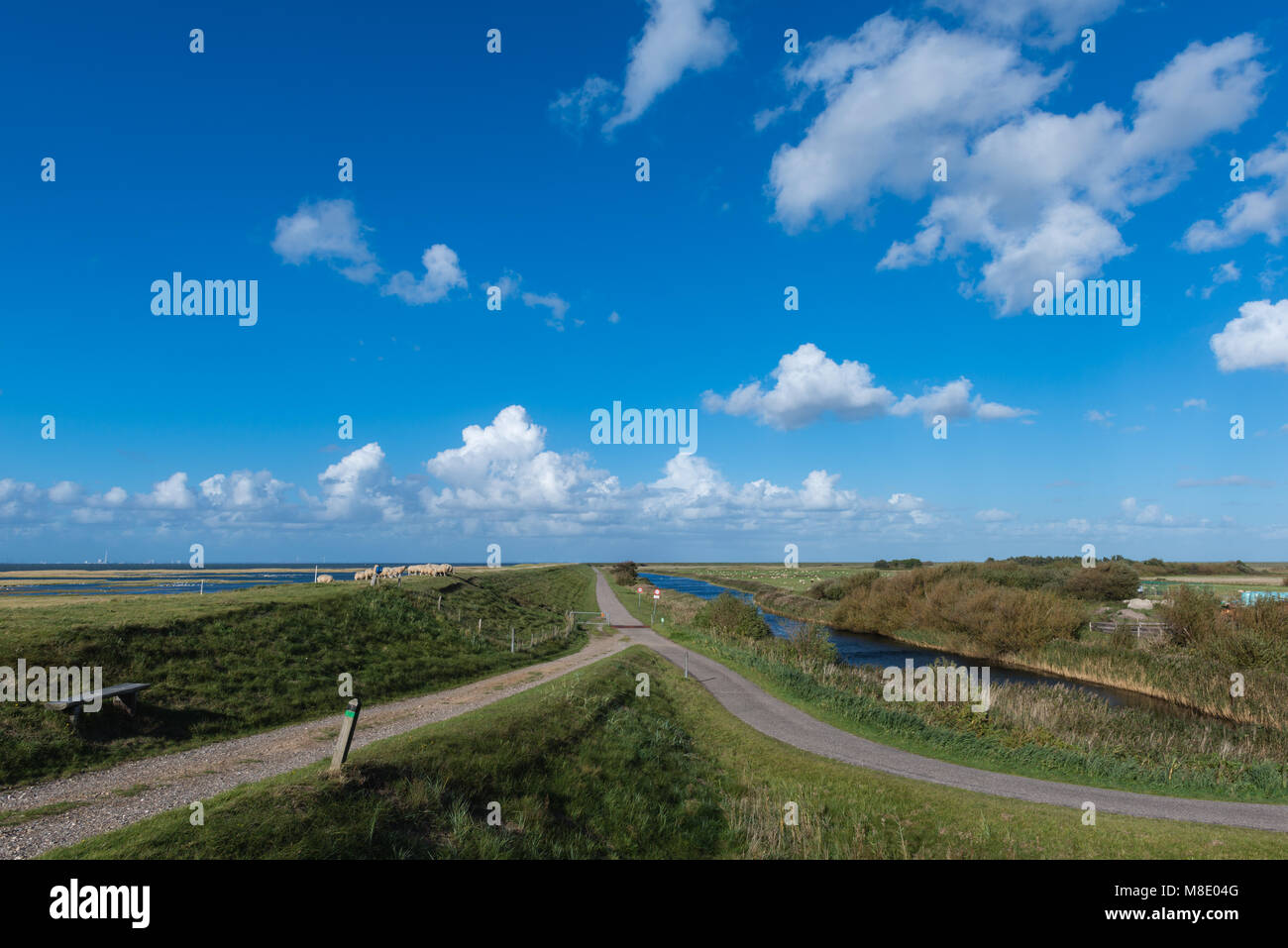 Landwirtschaft auf der dänischen Nordsee Insel Mandø, UNESCO Weltnaturerbe, Ribe, Jütland, Dänemark Stockfoto