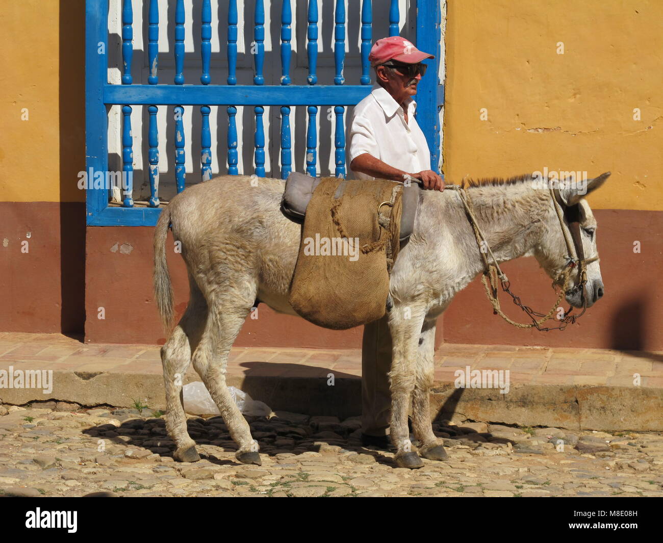 Opa mit Esel an der Trinidad Straße. Sancti Spiritus, Kuba Stockfoto
