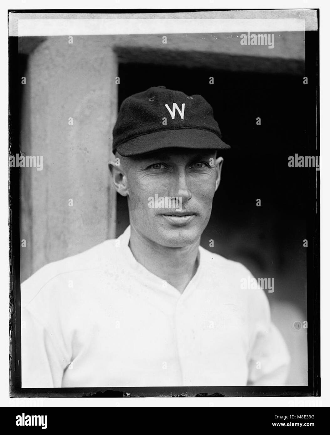 Ein Foto von Reis, das möglicherweise eine Nahaufnahme der Körner zeigt, was die landwirtschaftliche Bedeutung dieser Kultur unterstreicht. Reis ist in vielen Kulturen weltweit ein wichtiger Grundnahrungsmittel. Stockfoto