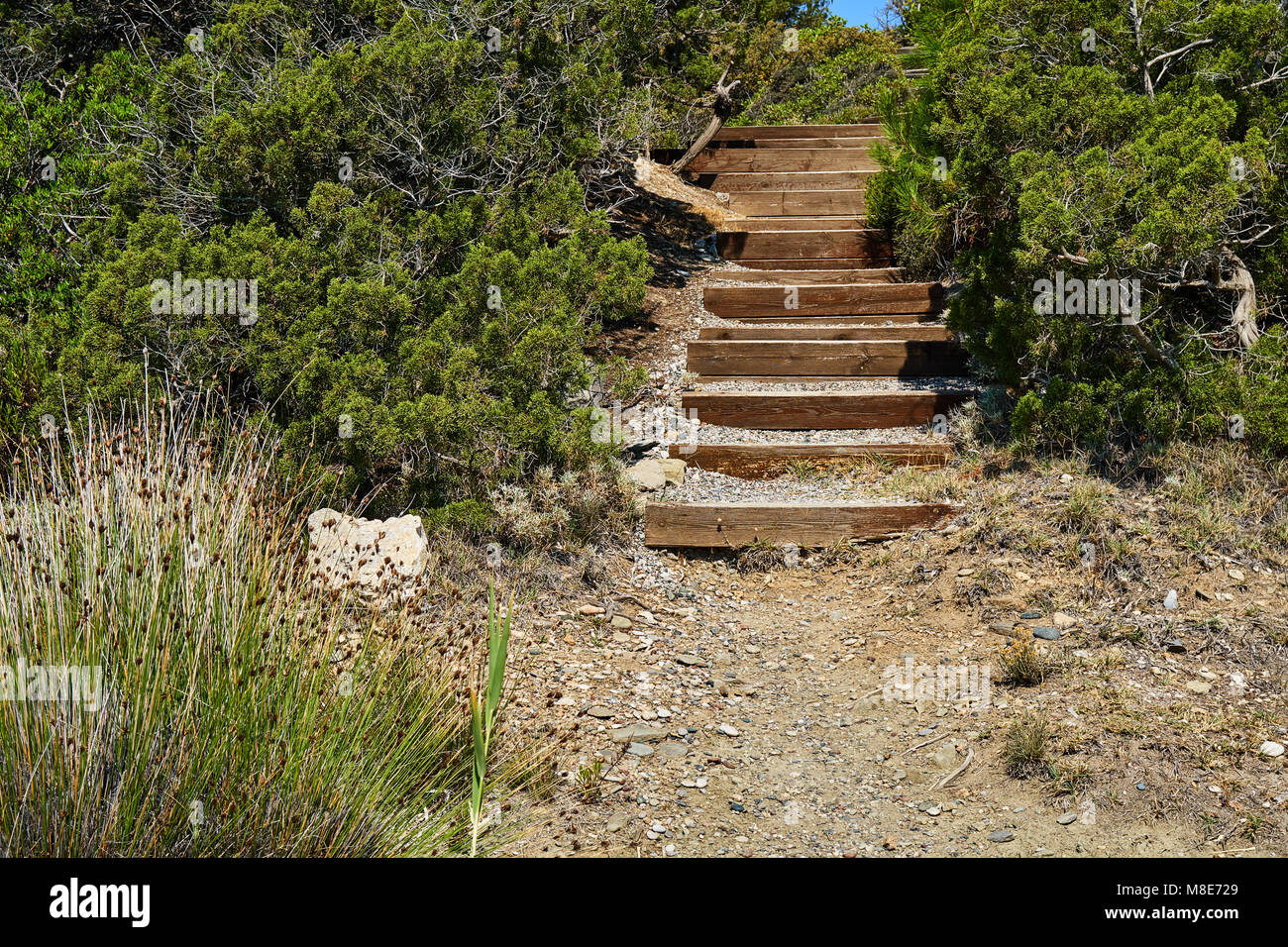 Weg zum Meer mit Stufen aus kleinen Kieselsteinen und Holz zwischen den Büschen Stockfoto