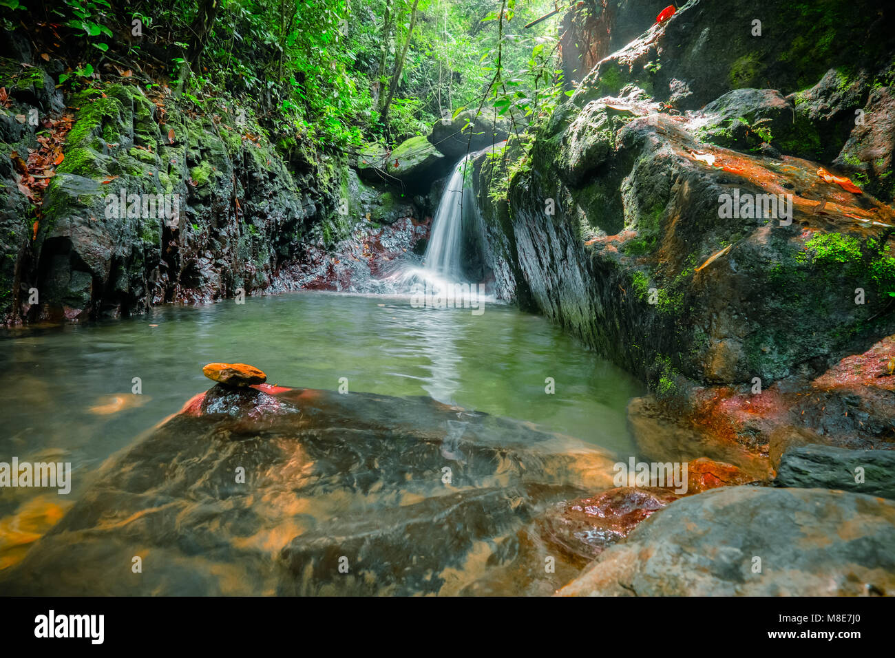 Zauberhafte Teich mit Wasserfall in der Mitte des Dschungels. Geheimnisvolle Pool in dichten tropischen Wald mit fließendem Wasser in den See umgeben von Wilden Stockfoto