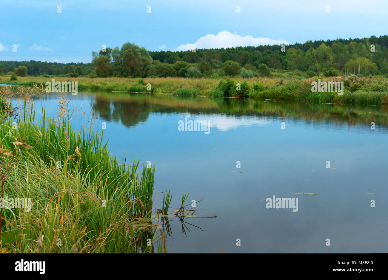 Glatten Kanal mit Reflexion des Himmels, langer Fluss mit bewachsenen grünen Ufern, künstlichen Teich Stockfoto