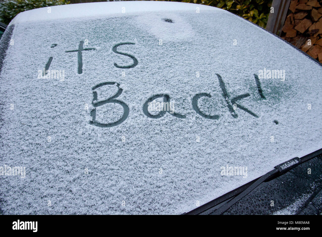 Flintshire, Wales, Großbritannien, 17. März 2018, UK Wetter: Mit Met Office Warnungen für Schnee die Mini Tier aus dem Osten kommen einem Schauer zu Flintshire mit Frost und Schnee mit mehr auf dem Weg in den nächsten 24 Stunden. © DGDImages/Alamy leben Nachrichten Stockfoto