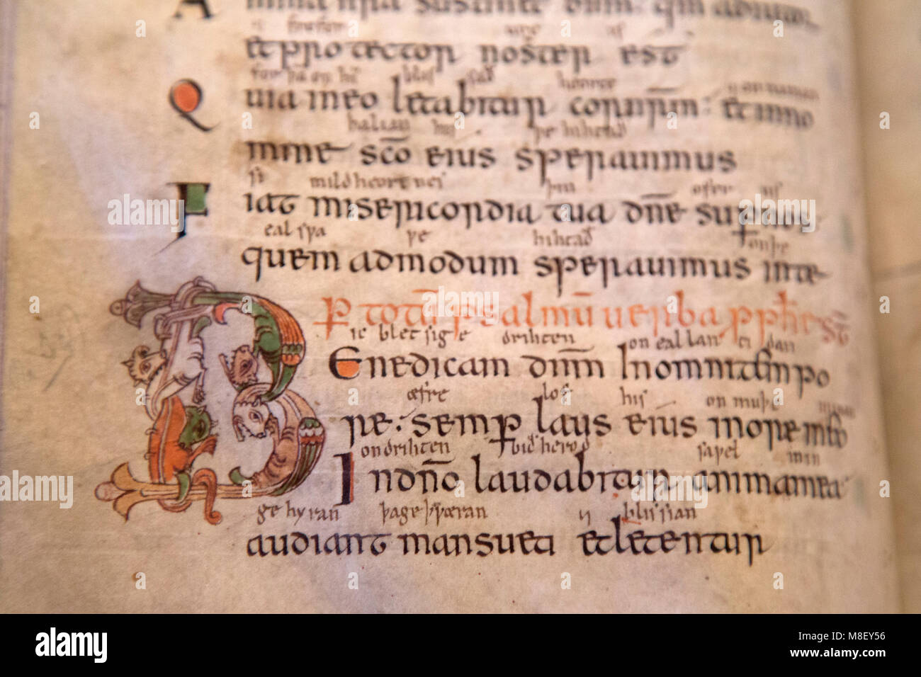 Mittelalterliche Handschrift in der Bibliothek der Kathedrale von Salisbury, Wiltshire, England. Das Buch stammt aus dem 10. Jahrhundert. Stockfoto