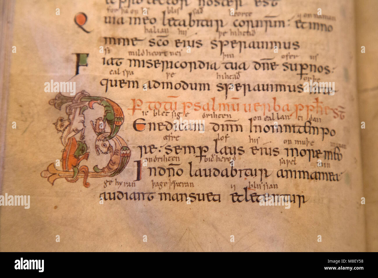 Mittelalterliche Handschrift in der Bibliothek der Kathedrale von Salisbury, Wiltshire, England. Das Buch stammt aus dem 10. Jahrhundert. Stockfoto