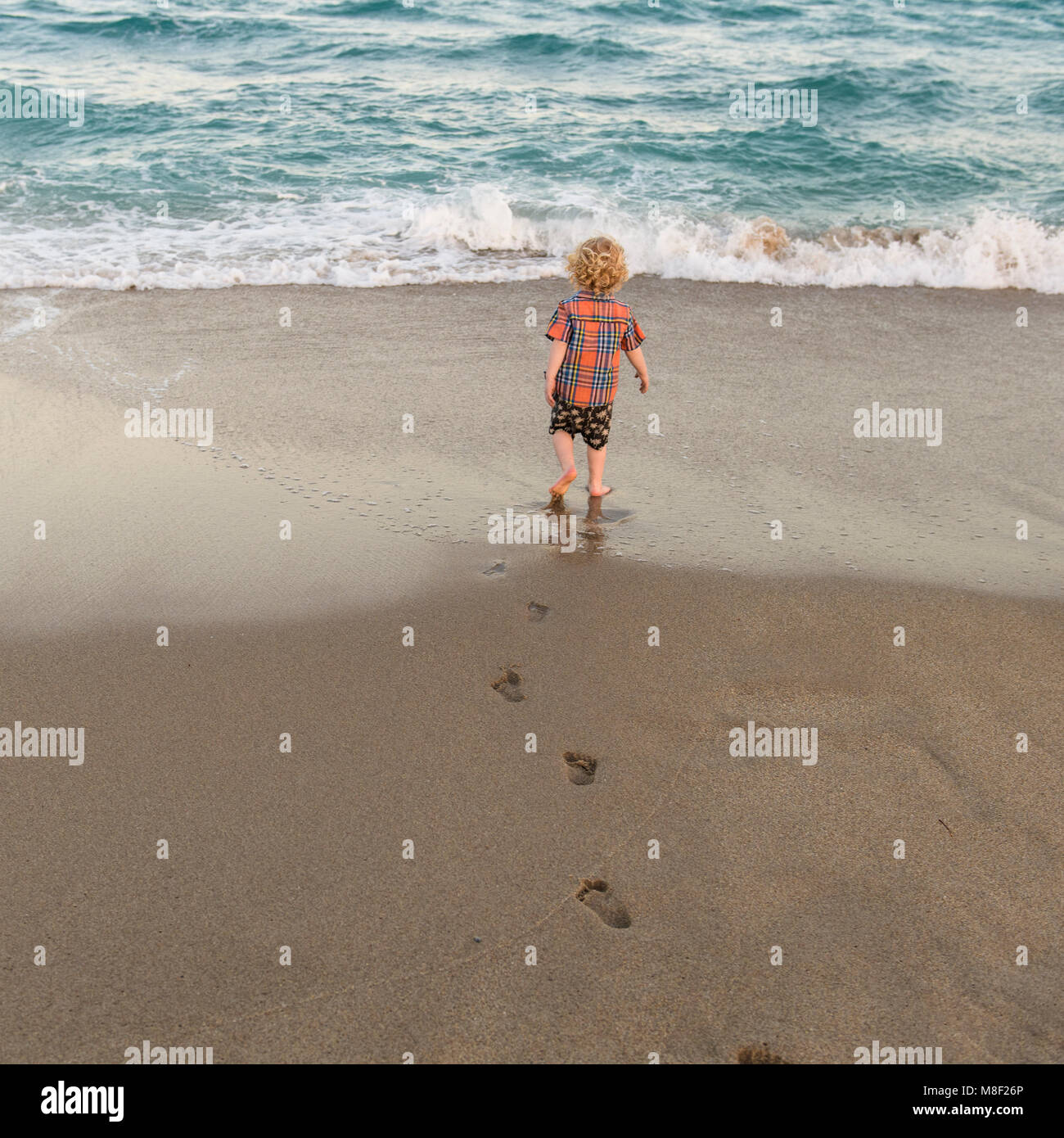 Ansicht der Rückseite des kleinen Jungen (2-3) zu Fuß am Sandstrand Stockfoto