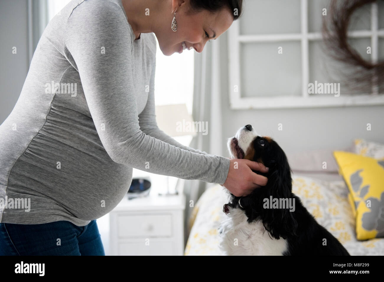 Schwangere Frau mit Hund suchen Stockfoto