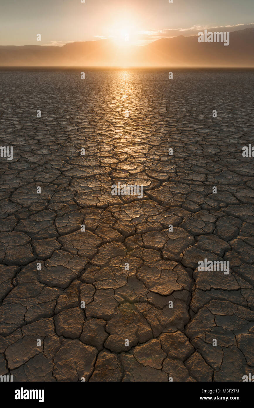 USA, Oregon, Alvord Wüste, Rissige Erde bei Sonnenuntergang Stockfoto