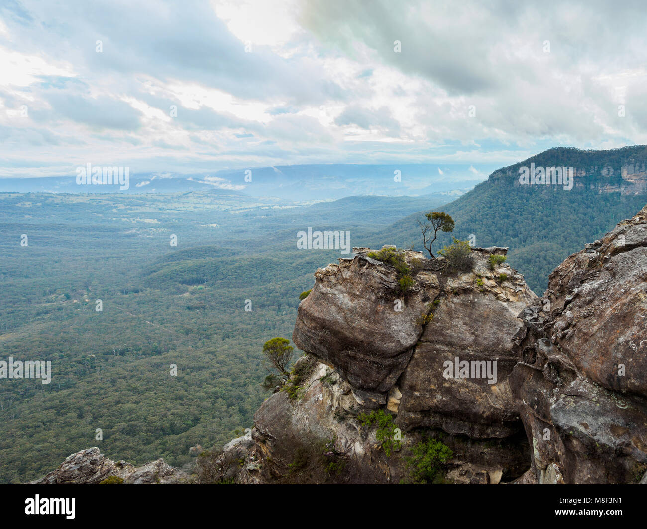 Australien, New South Wales, Katoomba, weite Tal, das von hohen Felsen umgeben Stockfoto