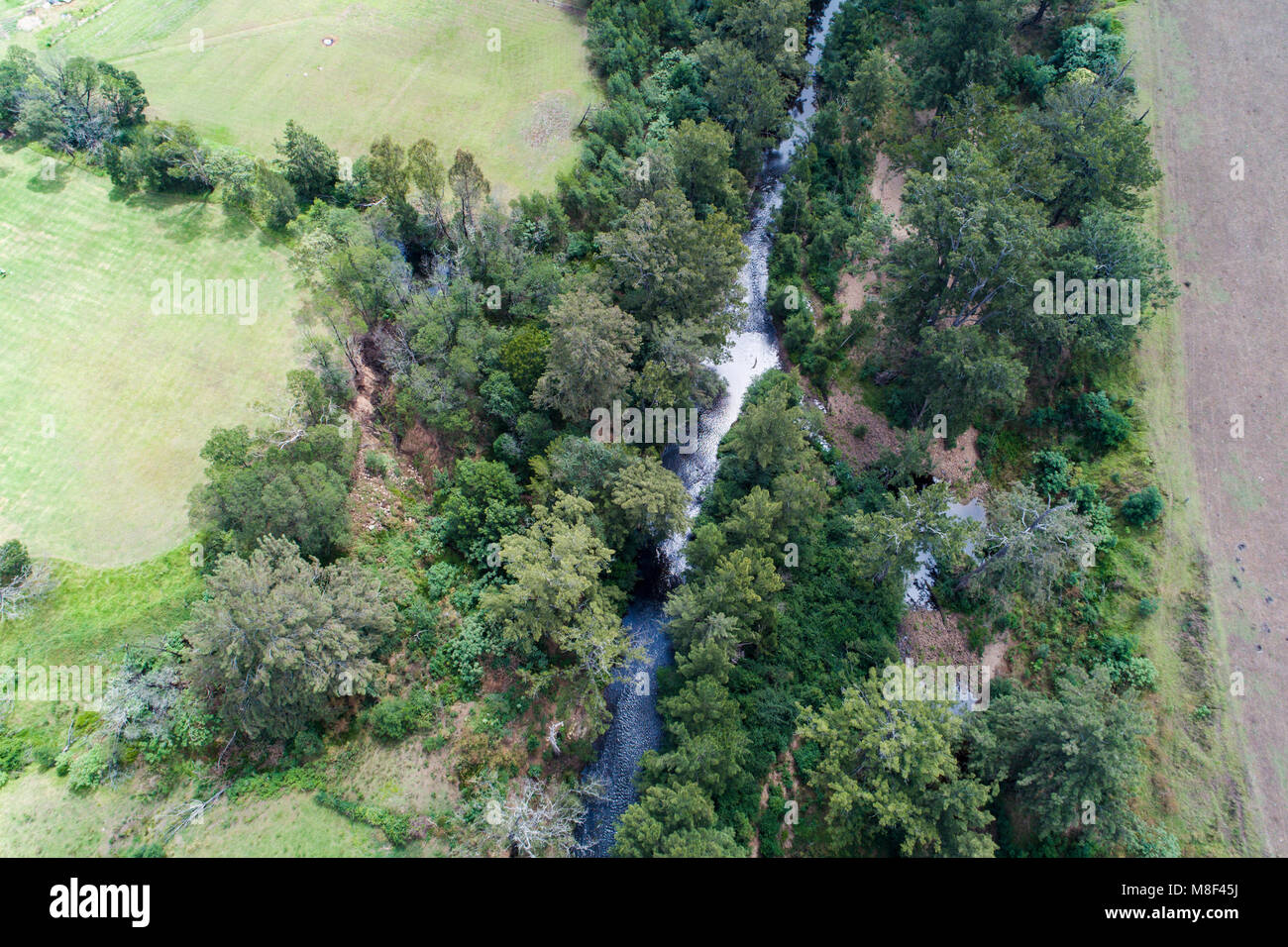 Australien, Landschaft mit Kangaroo Valley Stockfoto