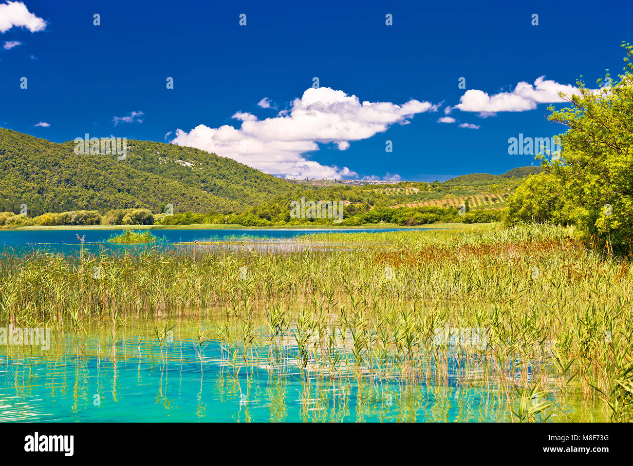 Idyllischen Fluss Krka Nationalpark, Dalmatien Region von Kroatien Stockfoto