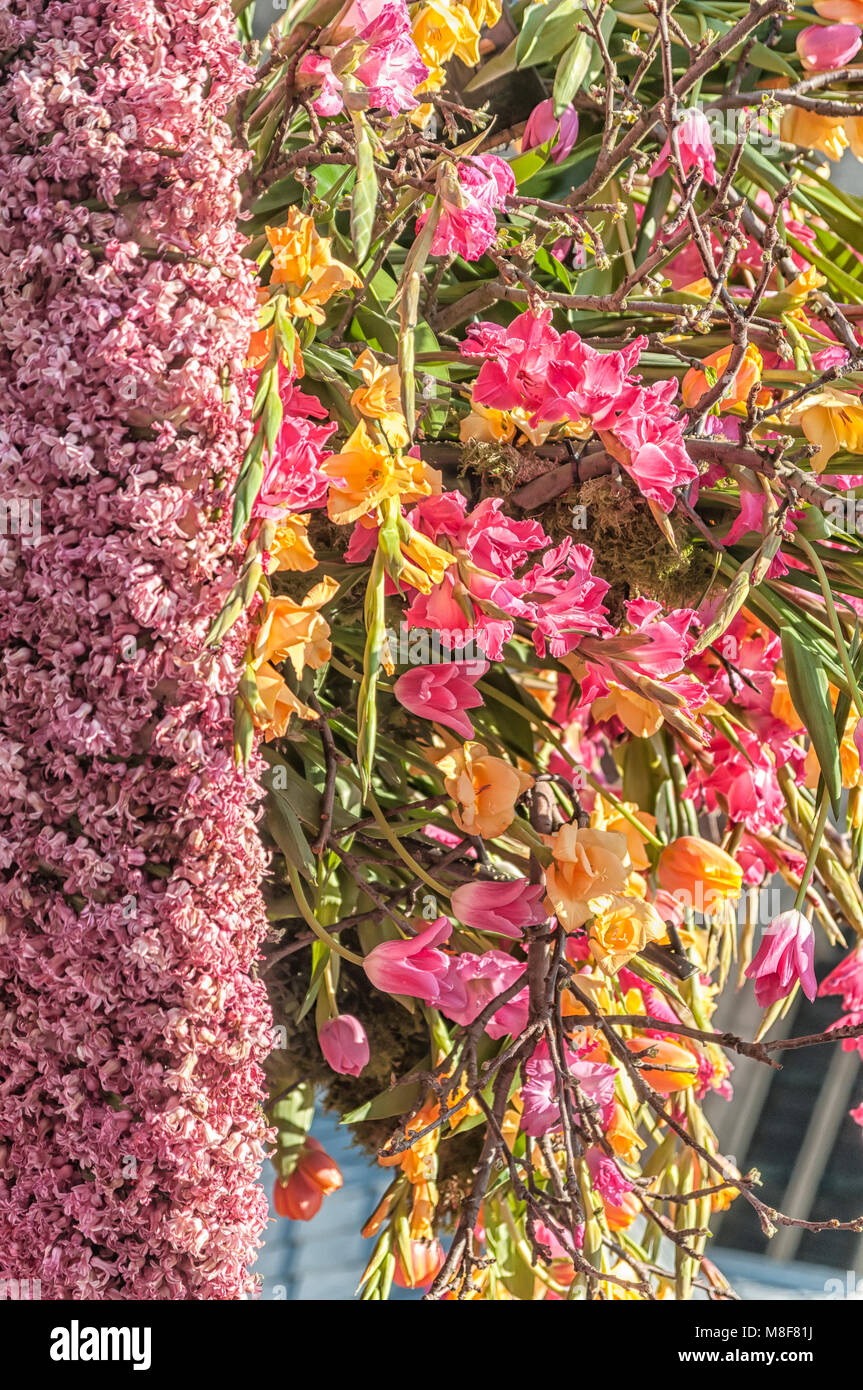 Schön verschiedene Farben der Blumen Stockfoto