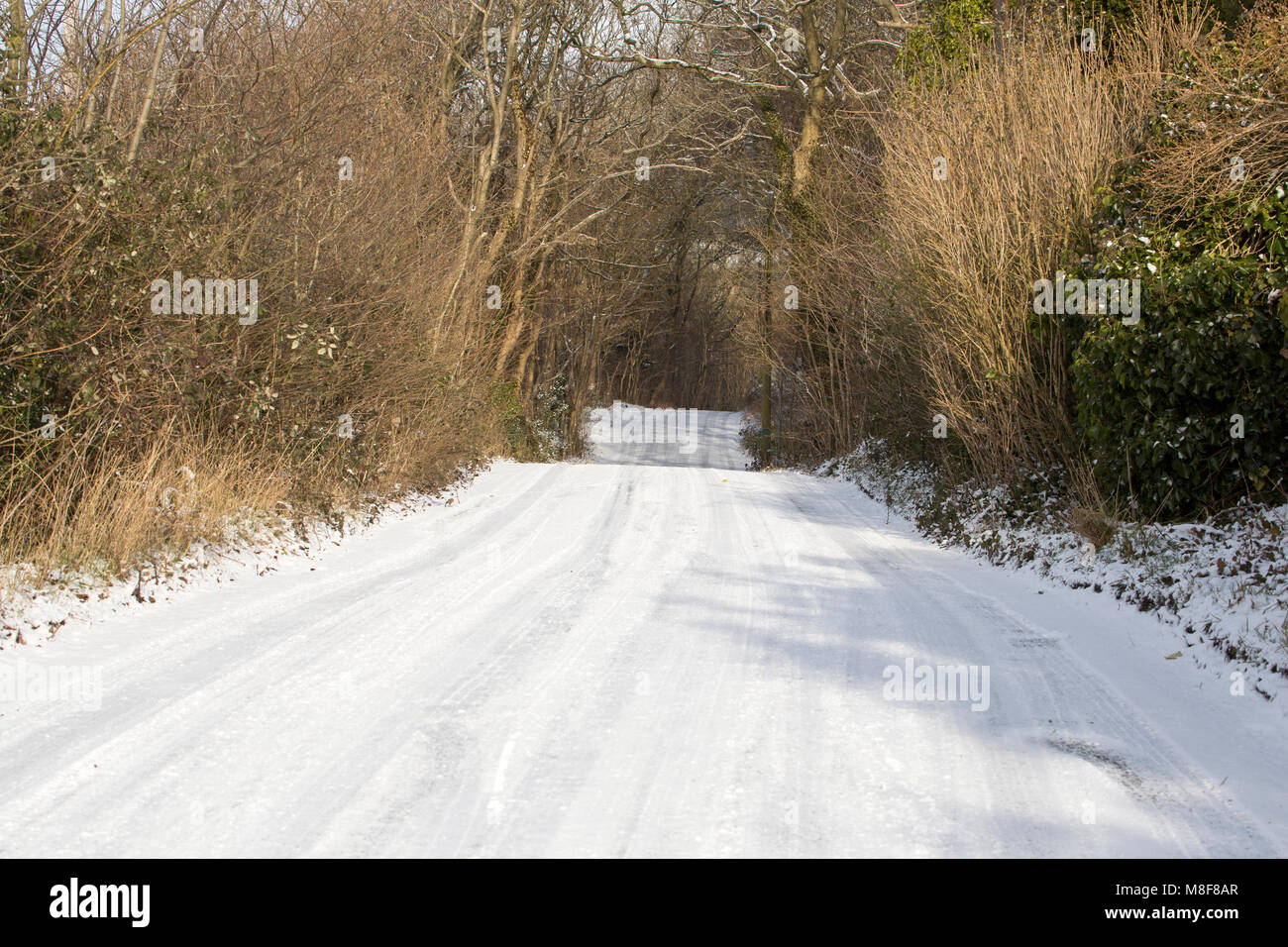 Vereisten Straße während des Tieres aus dem Osten Frost warton Crag, Lancashire, Großbritannien Stockfoto